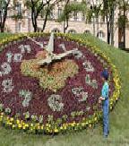 Дешевые Часы Челябинск
